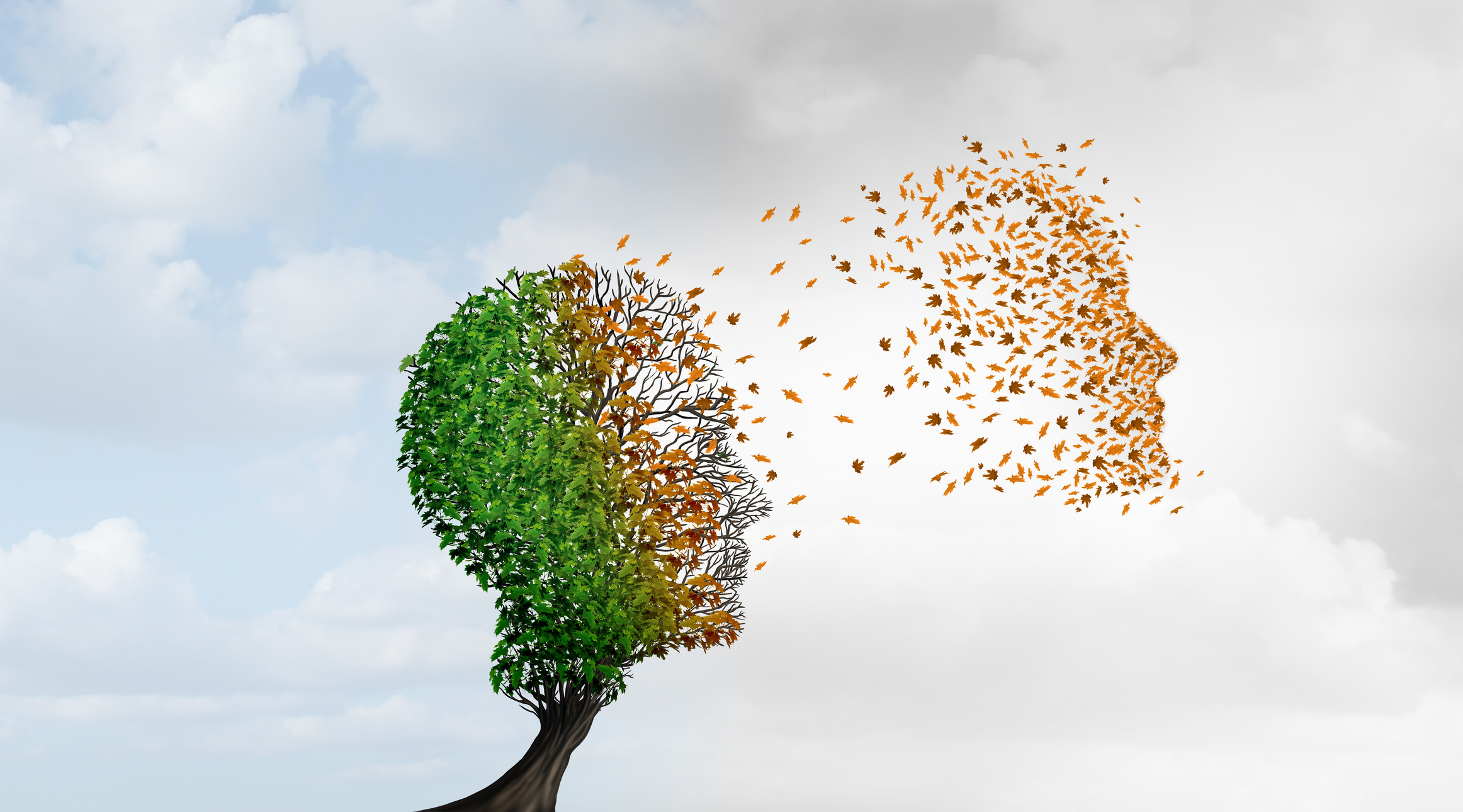 Transitions Are Tough. Here’s 10 Tips to Help Ride the Wave